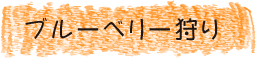 ブルーベリー狩り