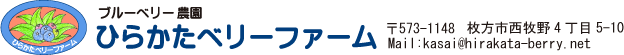 ひらかたベリーファーム