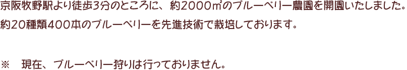 京阪牧野駅より徒歩３分のところに、約２０００㎡のブルーベリー農園を開園いたしました。